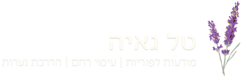 לוגו רוחבי.png