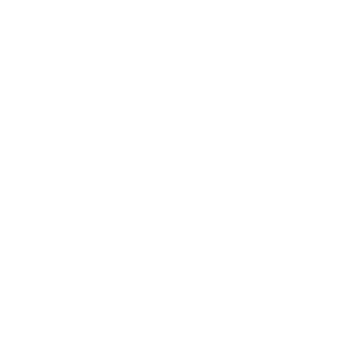monpermis blanc.png