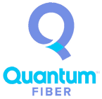 Quantum Fiber.png