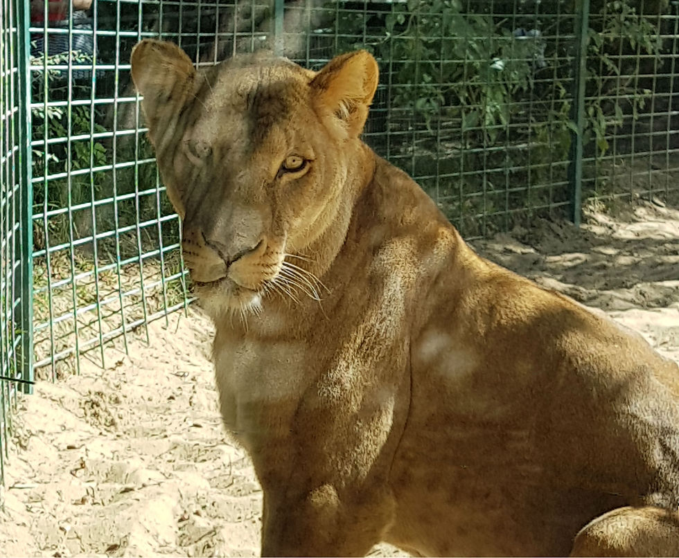 Charentes 2017 (109)