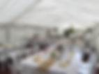 website pic1.jpeg