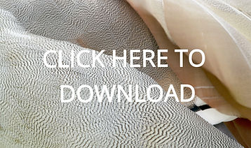 11062b_fd5c21cdc57f4b19b00f8ec0988396fe_