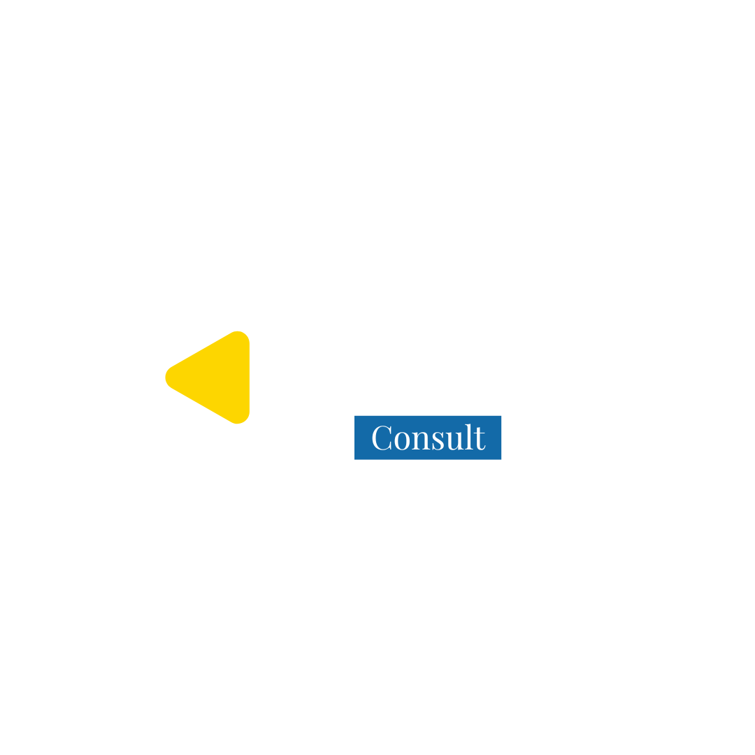EPIS Consult Logo Transparent.png