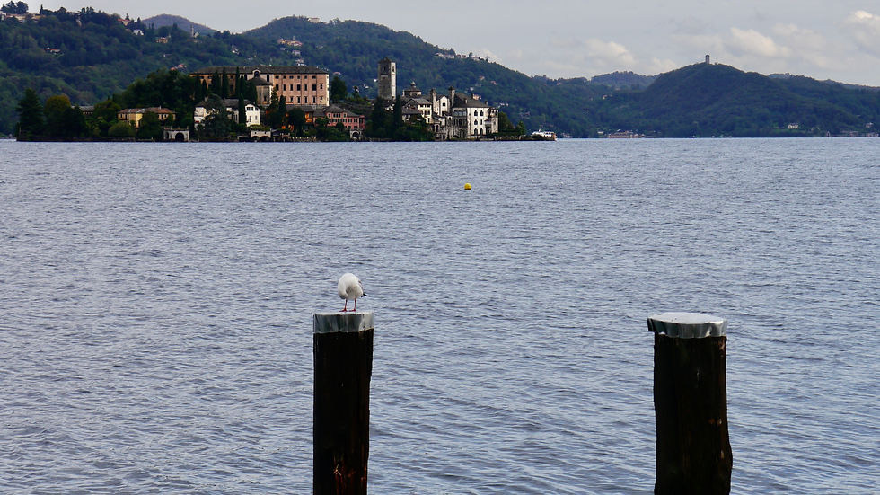 2013-10-13 14.59.00.jpg