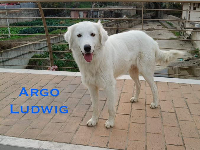 Argo Ludwig, 1 Jahr