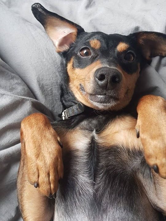 Felipe