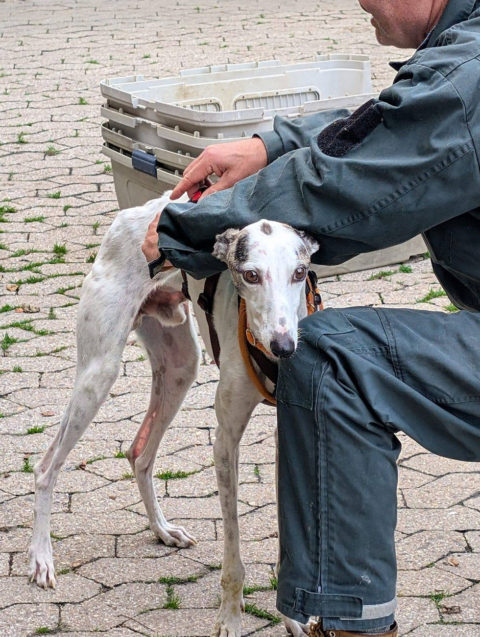 569046839_1325795356258419_872696423214098228_n