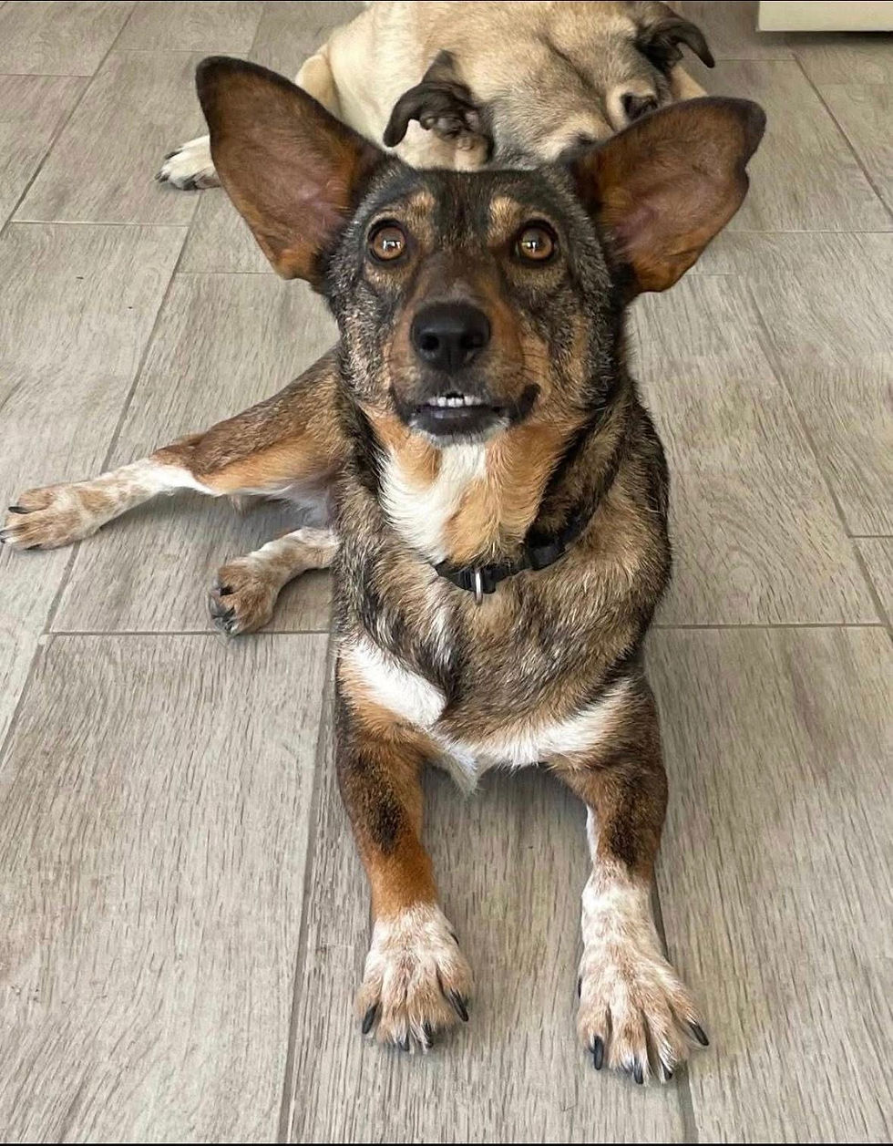 Betany, 5 Jahre
