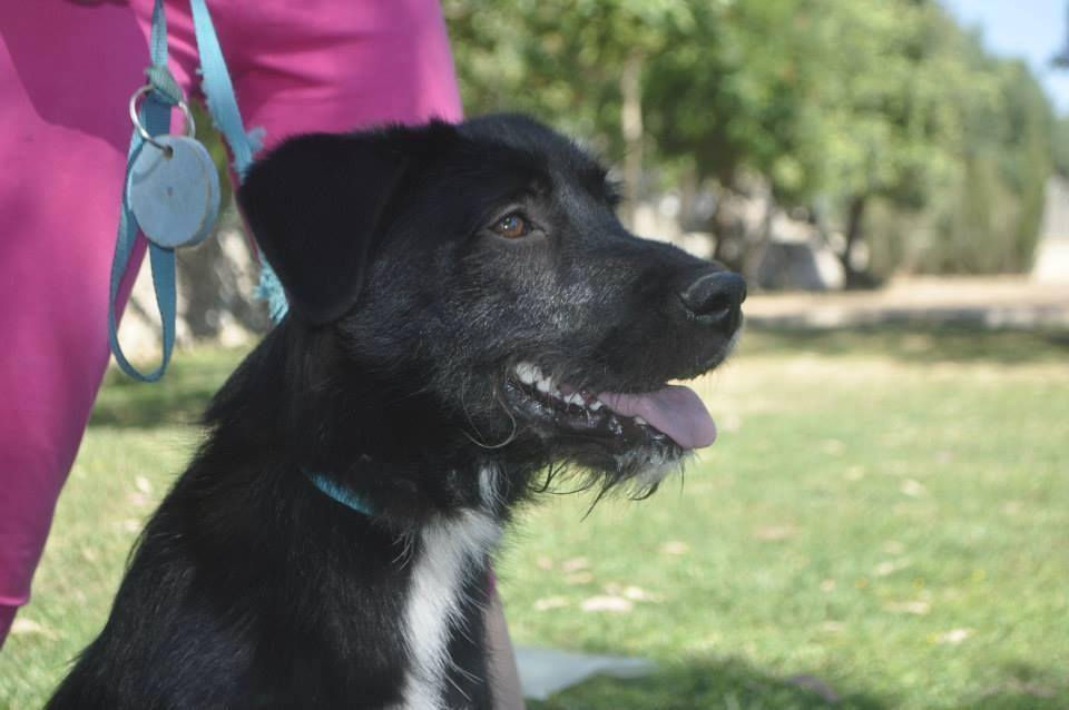 Max