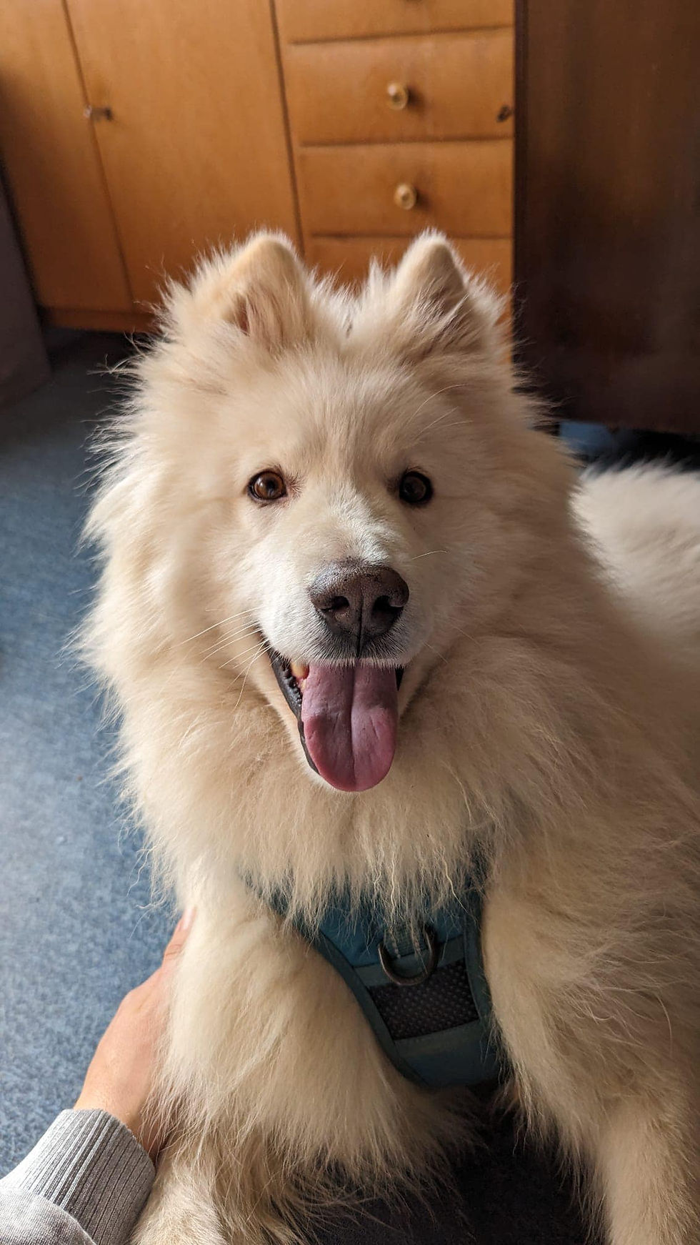 Samu