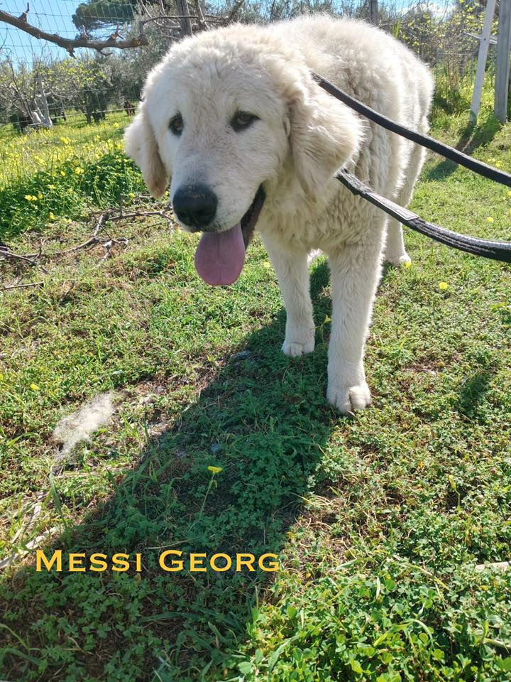 Messi Georg, 2 Jahre