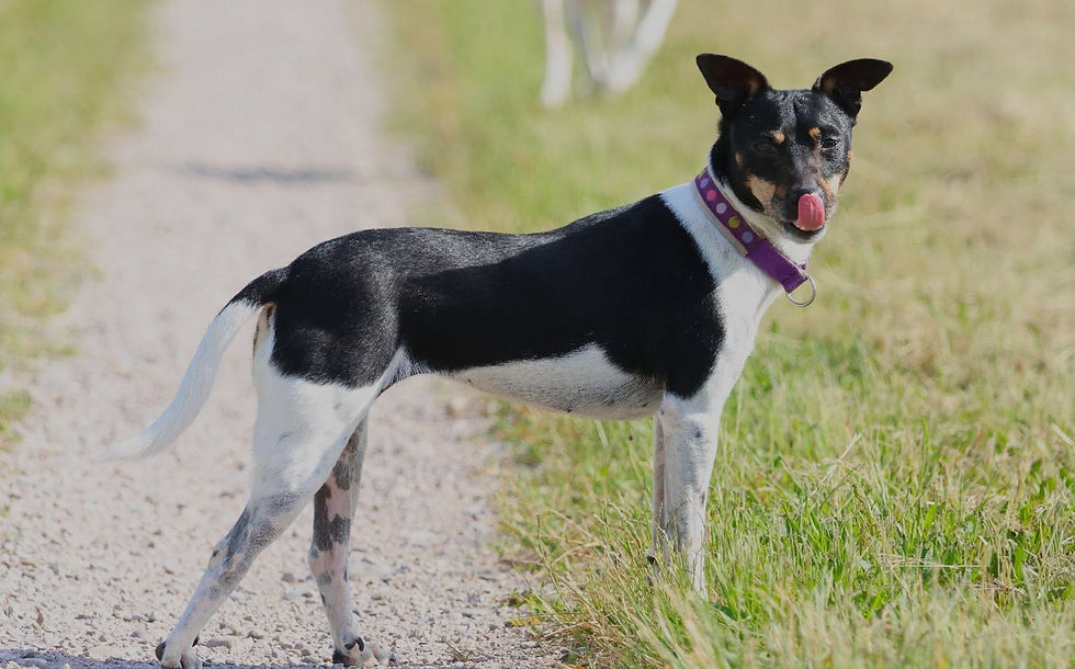 Susi, 8 Jahre