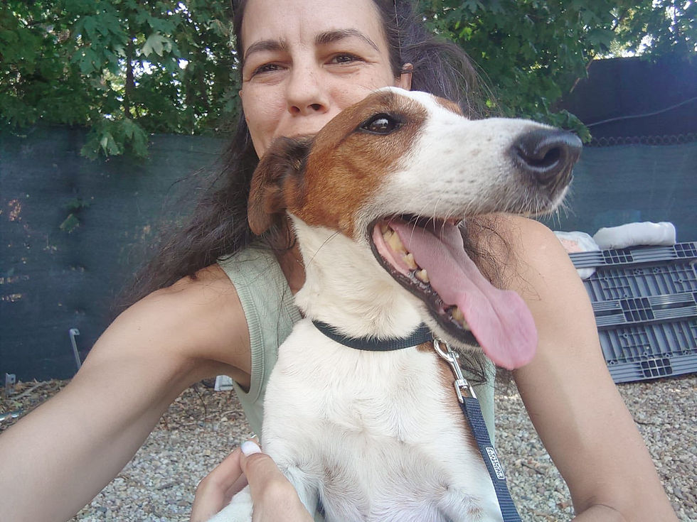 Chester
