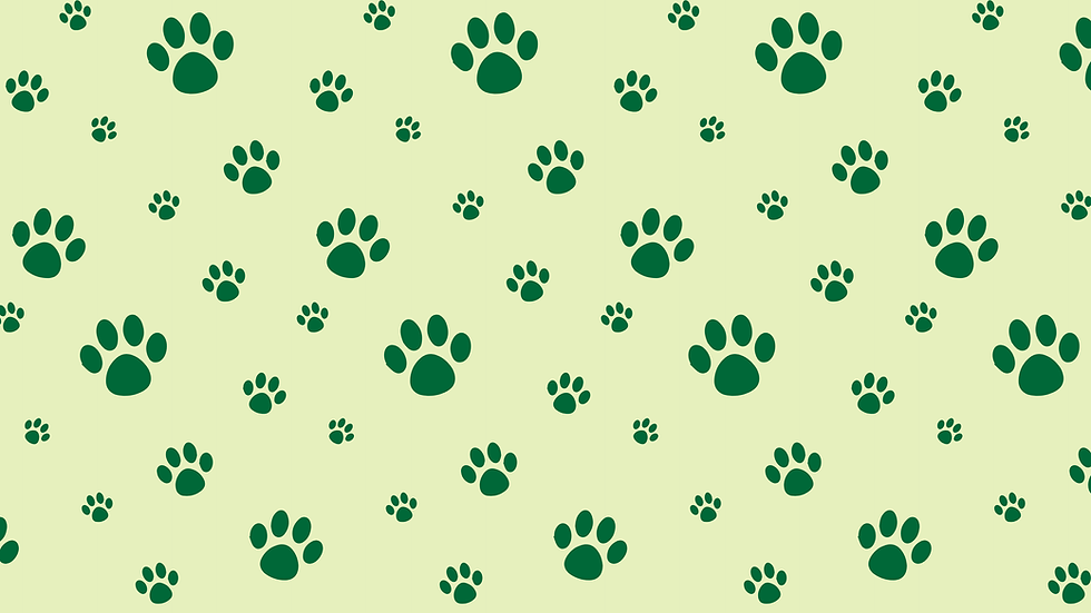 Pink and White Simple Pet Paws Desktop Wallpaper (1).png