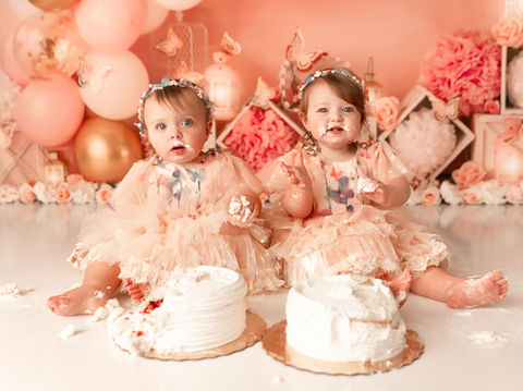 pink anf butterfly first birthday photoshoot for twin girls