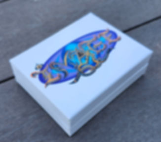 🧊 iMage Branded Deck Box — Premium Case