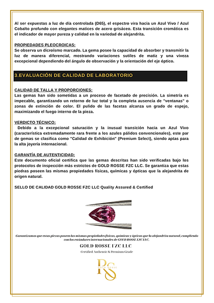 certificado2_pagina_2.png