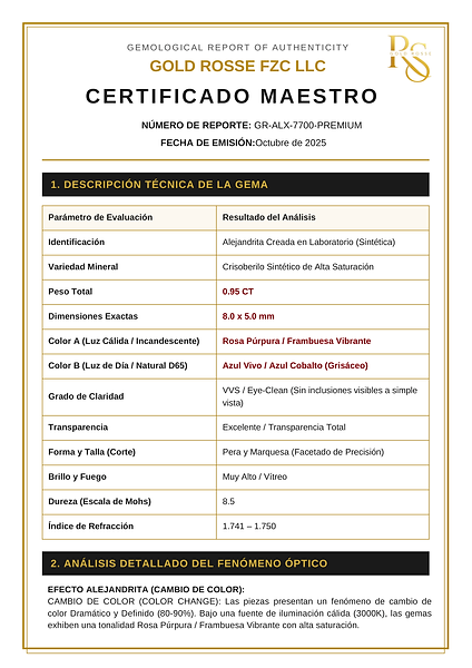 certificado2_pagina_1.png