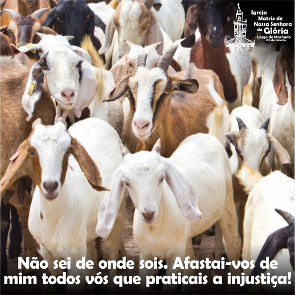 Não sei de onde sois. Afastai-vos de mim todos vós que praticais a injustiça!