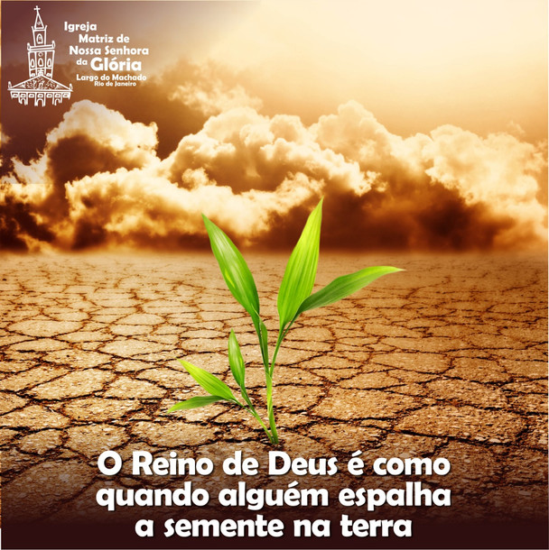 O Reino de Deus é como quando alguém espalha a semente na terra.