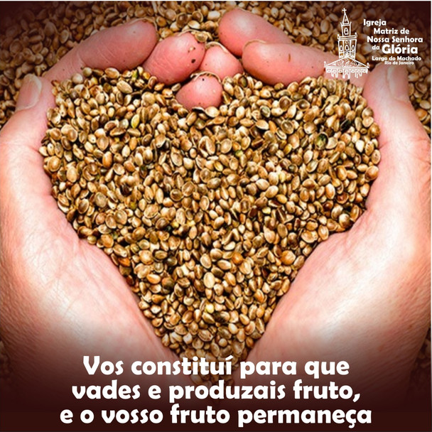 Vos constituí para que vades e produzais fruto, e o vosso fruto permaneça.