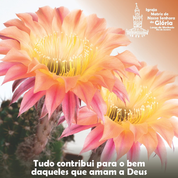 Tudo contribui para o bem daqueles que amam a Deus Rm 8,28