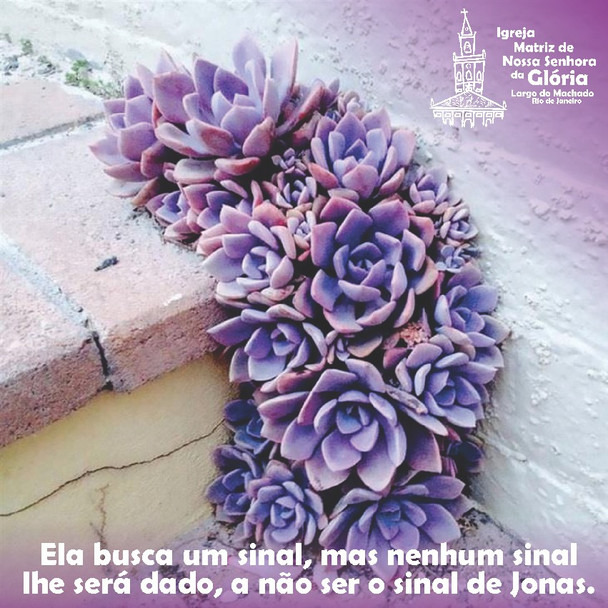 Ela busca um sinal, mas nenhum sinal lhe será dado, a não ser o sinal de Jonas. Lc 11,29