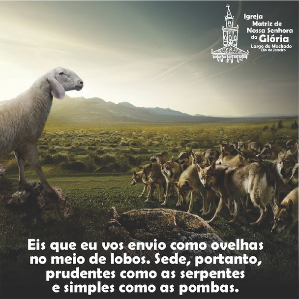 Eis que eu vos envio como ovelhas no meio de lobos. Sede, portanto, prudentes como as serpentes e