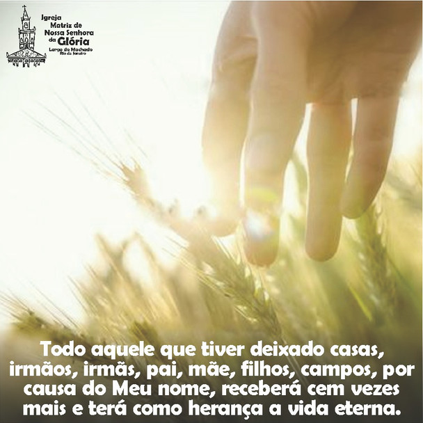 Todo aquele que tiver deixado casas, irmãos, irmãs, pai, mãe, filhos, campos, por causa do Meu nome,