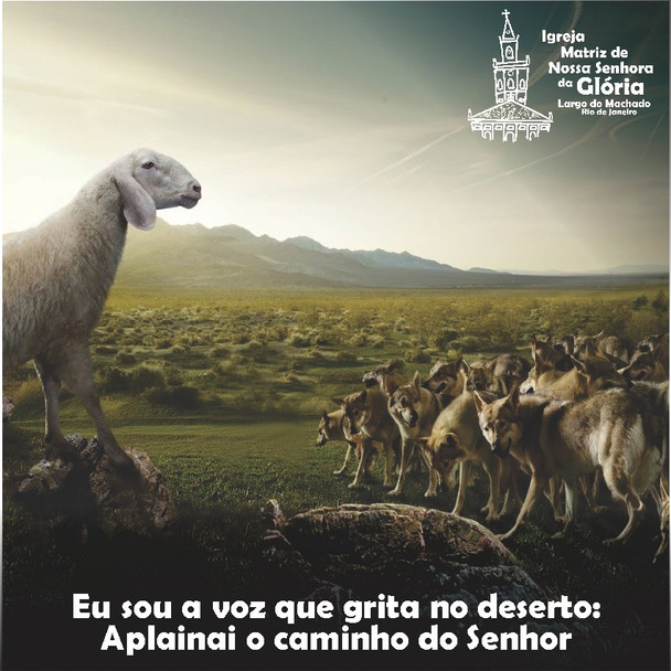 “Eu sou a voz que grita no deserto: Aplainai o caminho do Senhor” Jo 1,23