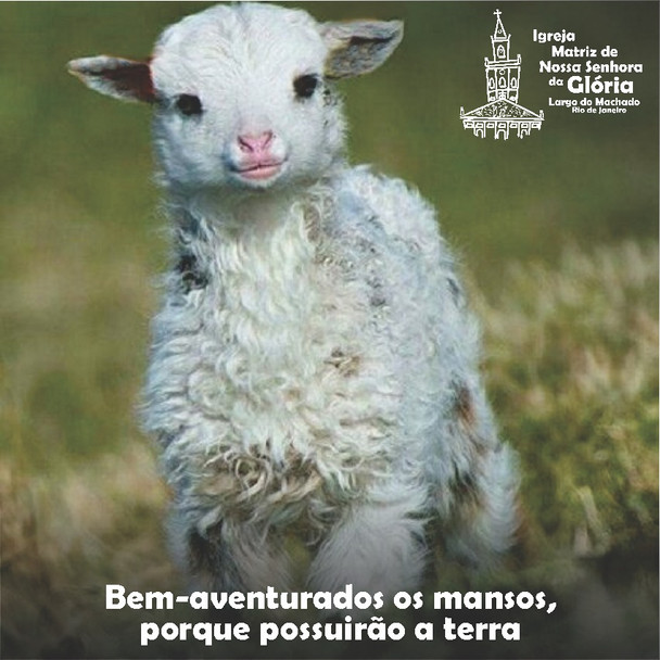 “Bem-aventurados os mansos, porque possuirão a terra.” Mt 5,5