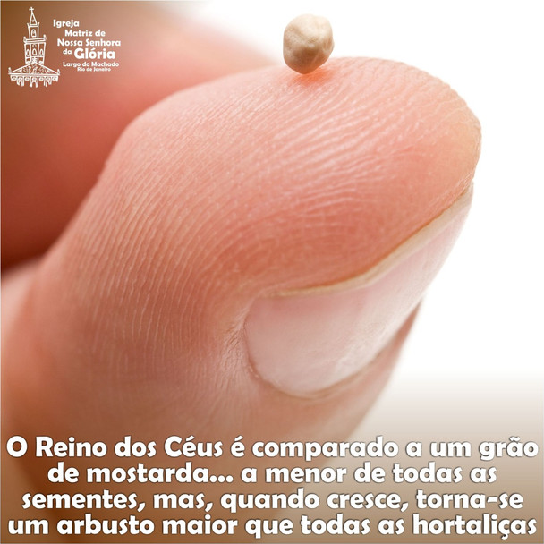 O Reino dos Céus é comparado a um grão de mostarda... a menor de todas as sementes, mas, quando cres