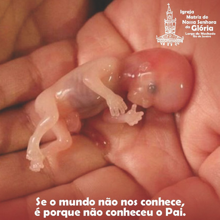 Se o mundo não nos conhece, é porque não conheceu o Pai. Jo 3,1