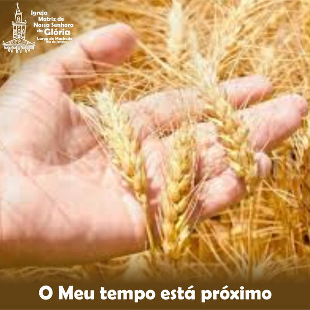 O meu tempo está próximo.