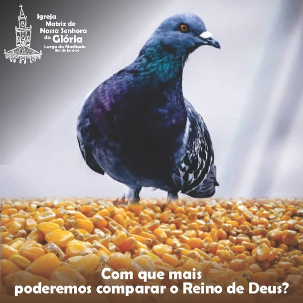 Com que mais poderemos comparar o Reino de Deus? Mc 4,30