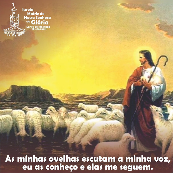 As minhas ovelhas escutam a minha voz, eu as conheço e elas me seguem. Jo 10,27