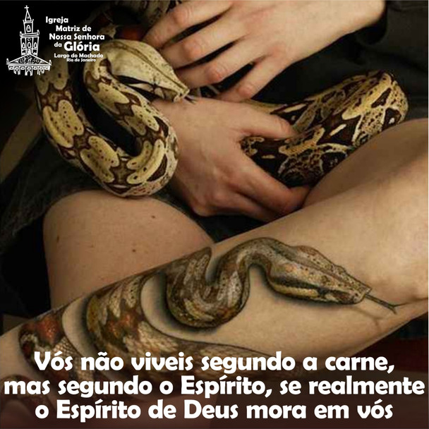 Vós não viveis segundo a carne, mas segundo o Espírito, se realmente o Espírito de Deus mora em vós.