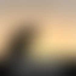 Todo joelho se dobre no céu, na terra e abaixo da terra e toda língua proclame: 'Jesus Cristo é