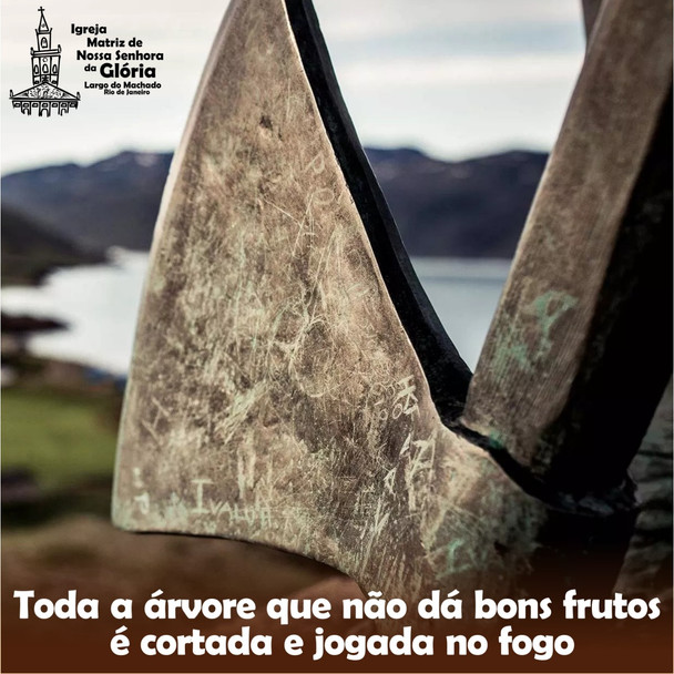 Toda a árvore que não dá bons frutos é cortada e jogada ao fogo