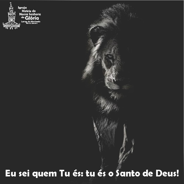 Eu sei quem tu és: tu és o Santo de Deus! (Lc 4,34)