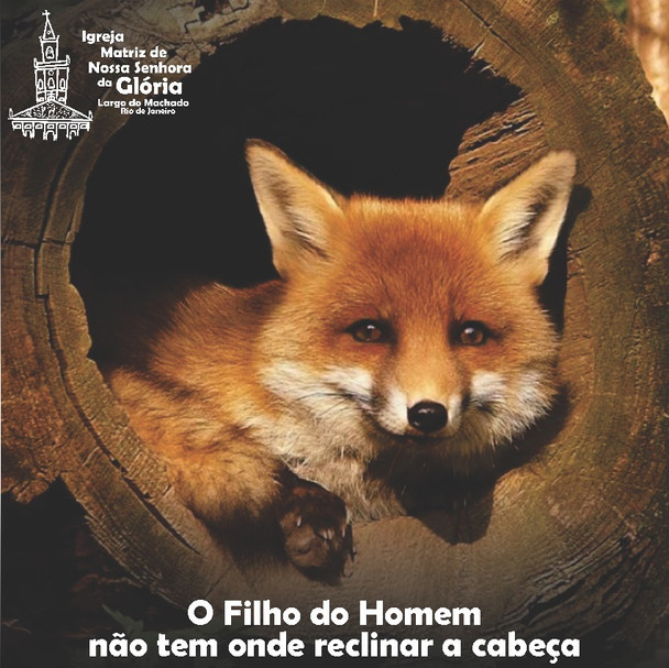 O Filho do Homem não tem onde reclinar a cabeça Mt 8,20