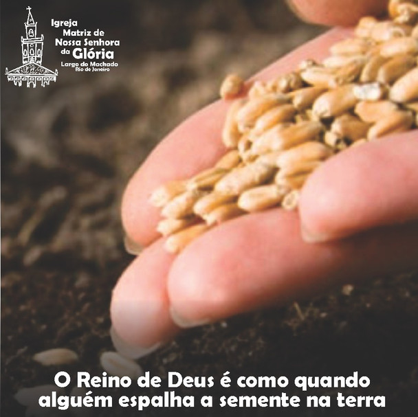 O Reino de Deus é como quando alguém espalha a semente na terra. Mc 4,26