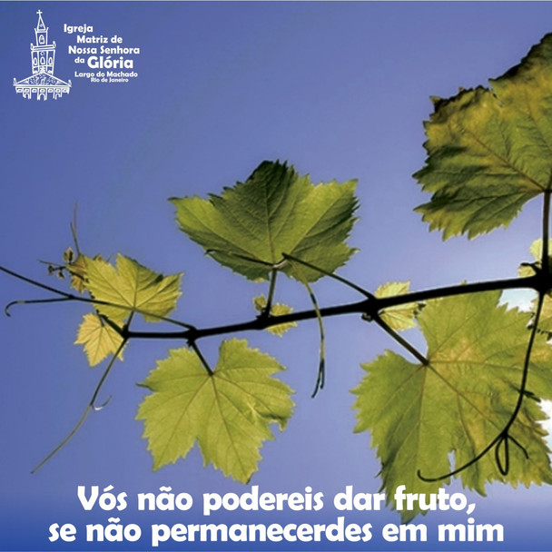 Vós não podereis dar fruto, se não permanecedes em mim.