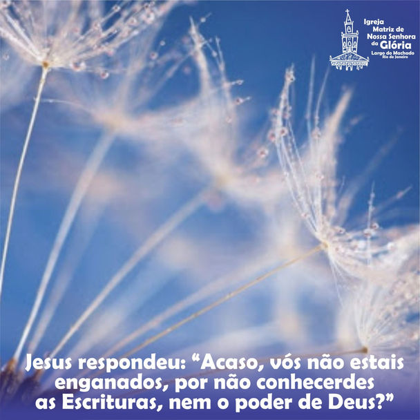 Jesus respondeu: “Acaso, vós não estais enganados, por não conhecerdes as Escrituras, nem o poder de