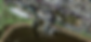 ElizabethQuay.png