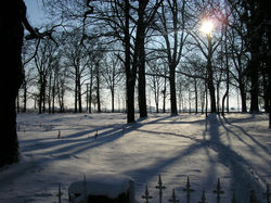 Park im Schnee - + Sonne