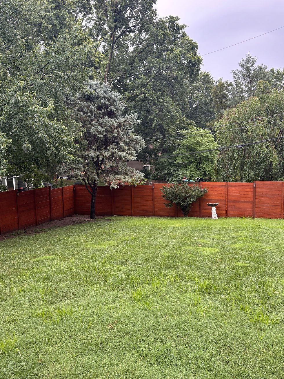 Fence (5)