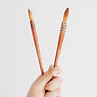 Paint Brushes