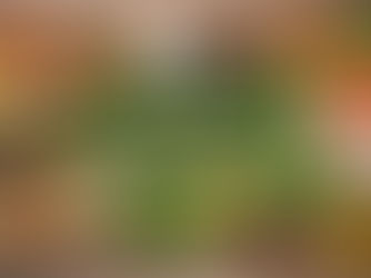 Foods that help increase stomach acid naturally