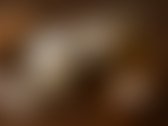 Coconut oil in a glass bowl with fresh coconuts for natural skincare and hair care